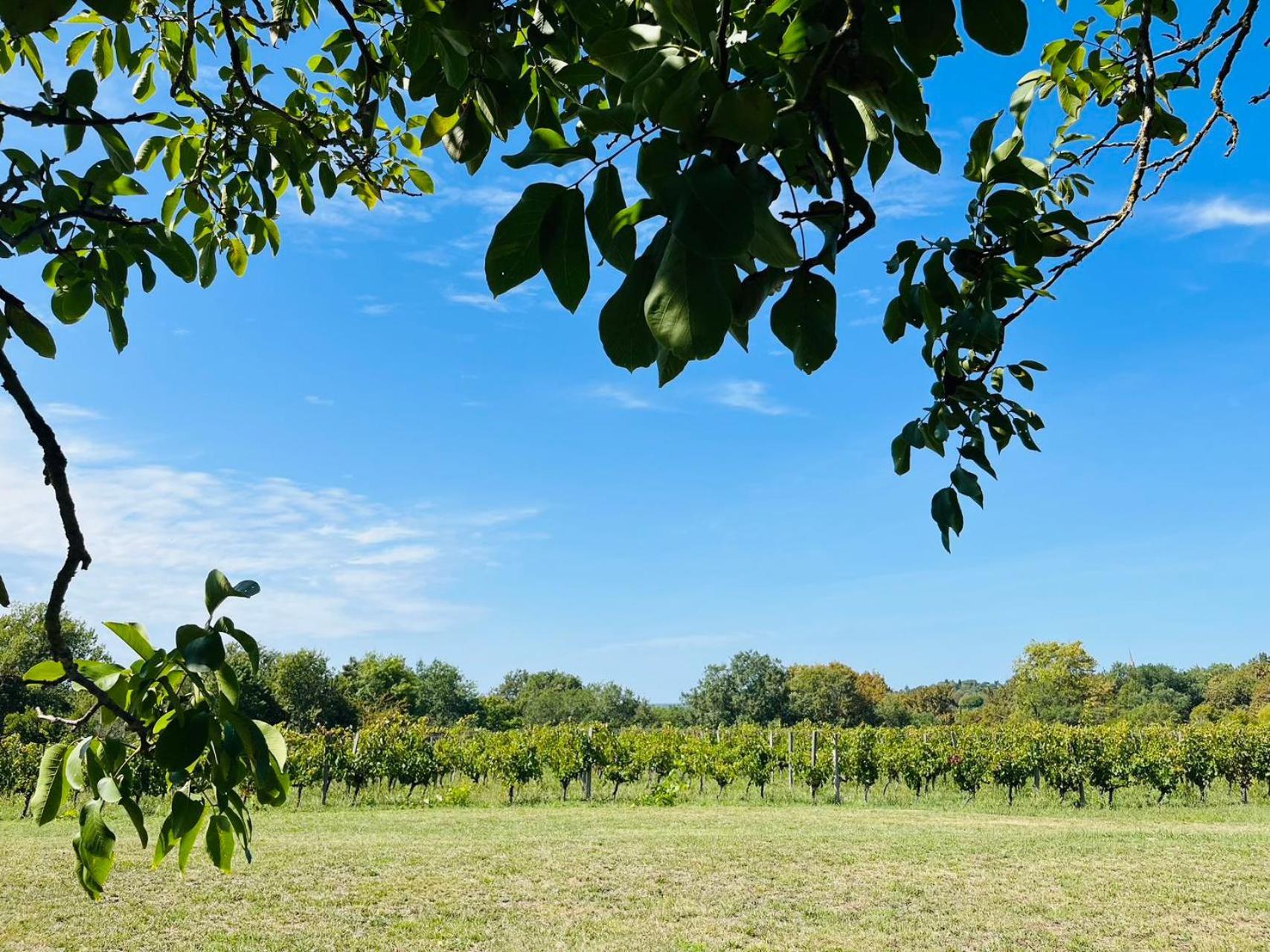 Bordeaux Chateau Lafleur Quinsac  ภายนอก รูปภาพ